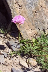 Randonnée vers le pic de Maubermé