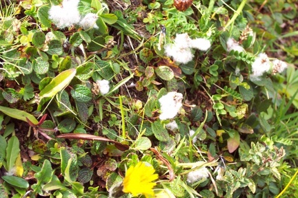Randonnée vers le pic de Maubermé