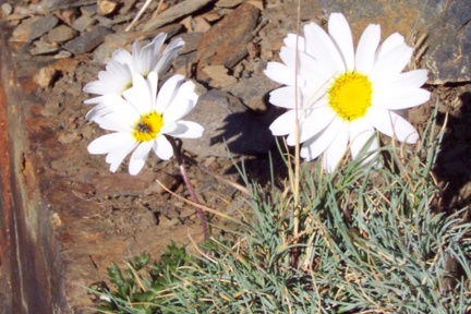 Randonnée vers le pic de Maubermé