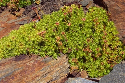 Randonnée vers le pic de Maubermé