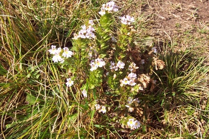 Randonnée vers le pic de Crabère