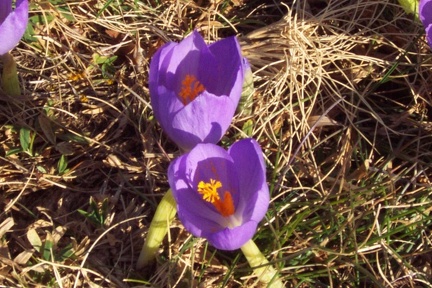 Randonnée vers le pic de Crabère