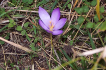 Balade à Saint Jean