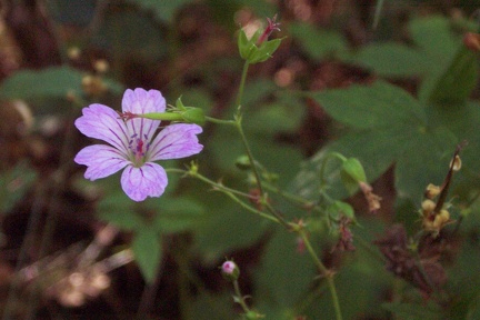 Balade à Saint Jean