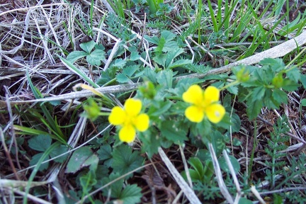Balade à Saint Jean
