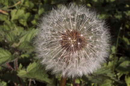 Balade à Saint Jean