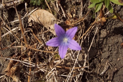 Balade à Saint Jean