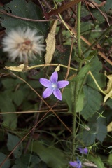 Balade à Saint Jean