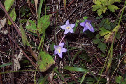 Balade à Saint Jean